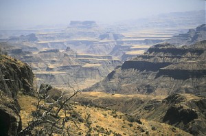 photo savane éthiopie