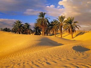 photo sud tunisie