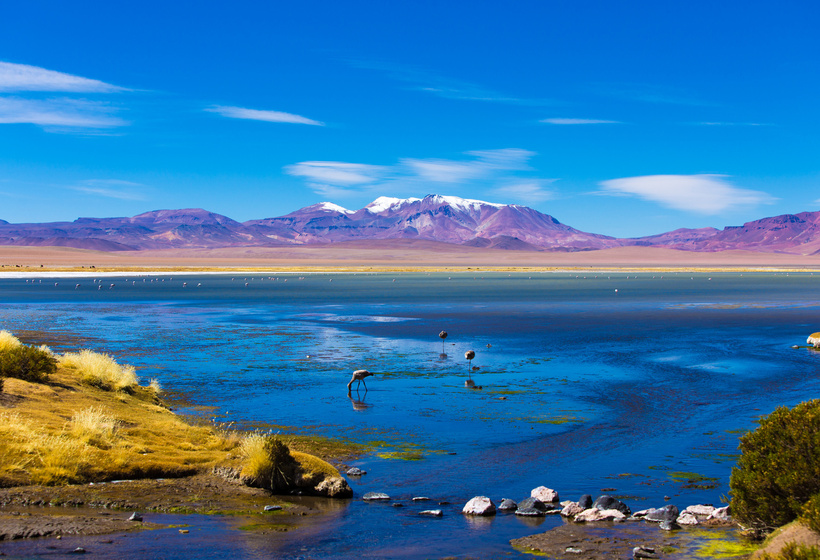 salar-de-tara-in-atacama