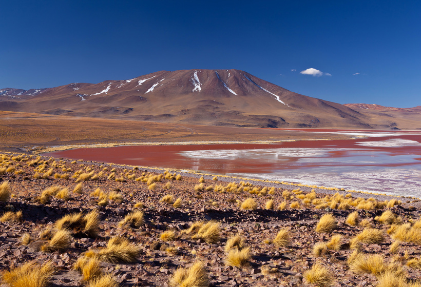 voyage-desert-atacama