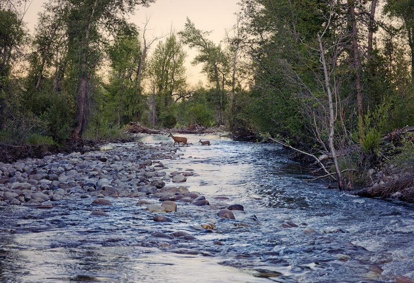 Retrouvez le rythme de la nature, où faune et flore suivent les saisons.