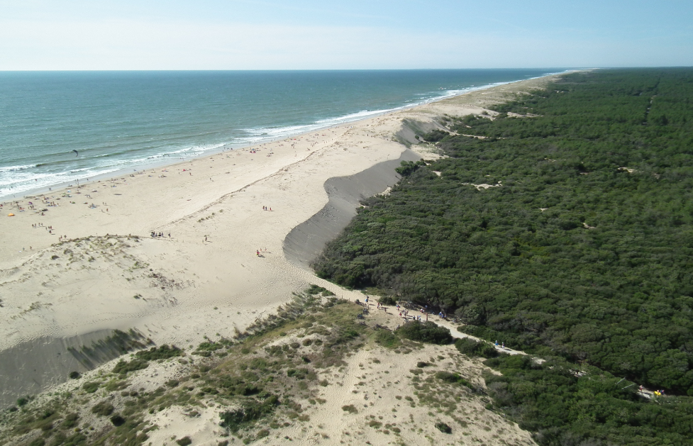 Plage de sable blanc et forêt de la Coudre sur la Presqu'île d'Arvert