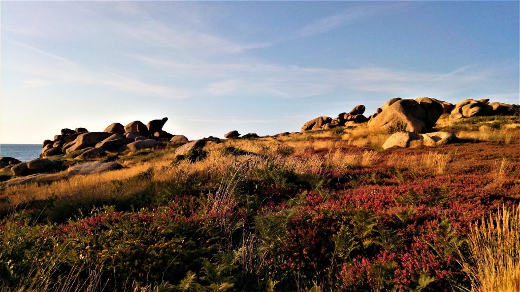 Paysage breton sur le sentier des douaniers